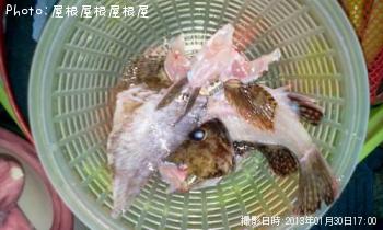 ¥«¥µ¥´¡õ¥«¥ì¥¤£³Ëç