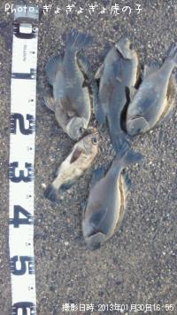 �᥸�ʡ���Х�