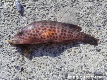 ¥ª¥ª¥â¥ó¥Ï¥¿