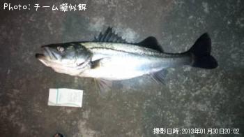 �����Х�