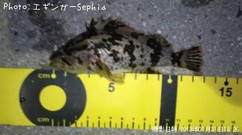 �����Υ���Х�