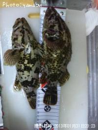 ¥¿¥±¥Î¥³¥á¥Ð¥ë