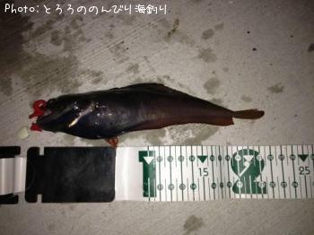 �������������ʥ�