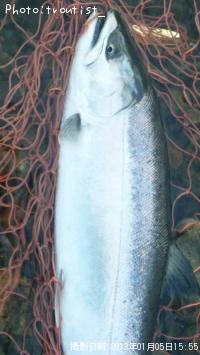 ������ޥ�