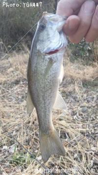 �֥�å��Х�