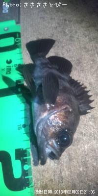 ���ꥢ��Х�