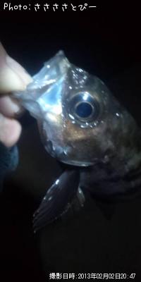 ���ꥢ��Х�