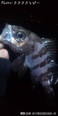 ���ꥢ��Х�