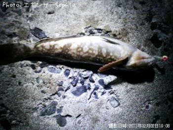 �����ʥ�