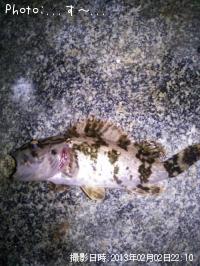 ¥¿¥±¥Î¥³¥á¥Ð¥ë