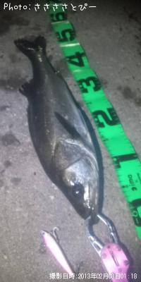 �����Х�