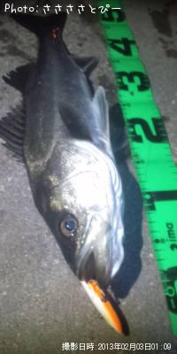 �����Х�