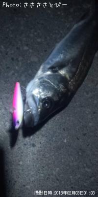 �����Х�