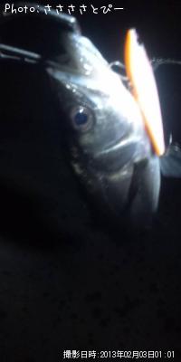 �����Х�