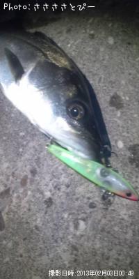 �����Х�