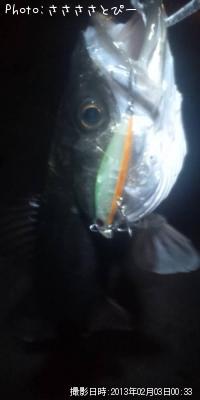 �����Х�