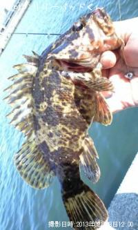 �������������