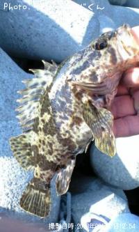 �������������