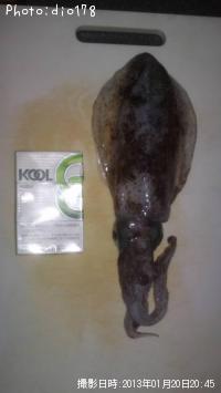 ¥¢¥ª¥ê¥¤¥«