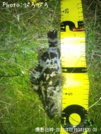 �����Х�