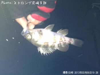¥á¥Ð¥ë