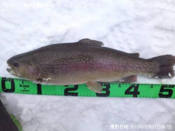 ¥í¥Ã¥¯¥È¥é¥¦¥È