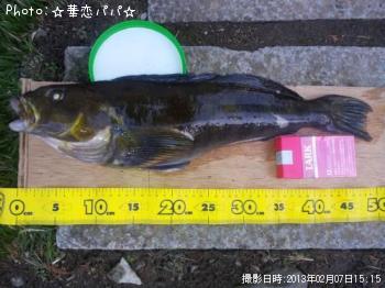 �����ʥᡡ