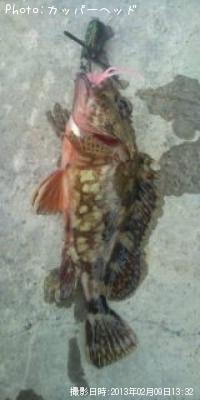 �������å�