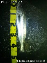 �����Х�