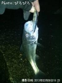 �����Х�