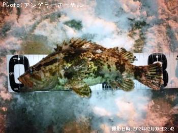 ¥¿¥±¥Î¥³¥á¥Ð¥ë