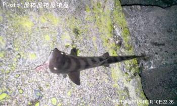 �ޤ�������