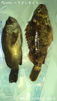 ¥¬¥·¥é¡¡¥á¥Ð¥ë