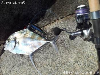 ¥¤¥È¥Ò¥¥¢¥¸