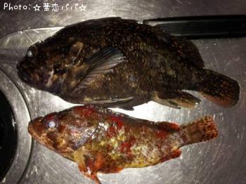 �����饽��������Х�