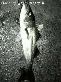 �����Х�