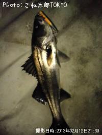 �����Х�