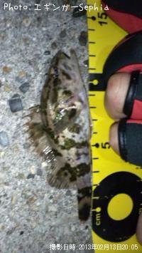 �����Υ���Х�