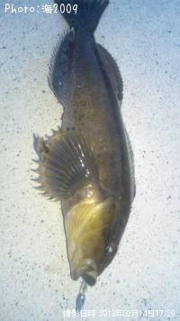 �����ʥ�