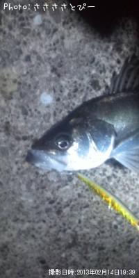 �����Х�