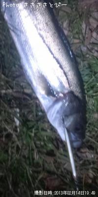 �����Х�