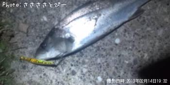 �����Х�