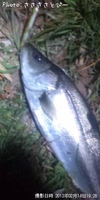 �����Х�