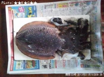 ���֥���