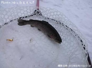 �쥤��ܡ�