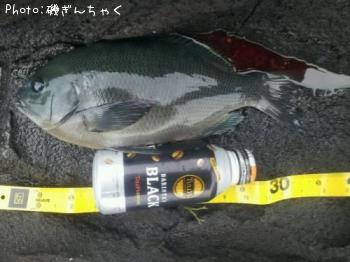 �����᥸��