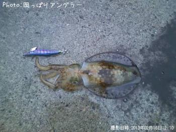 ¥¢¥ª¥ê¥¤¥«