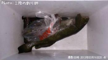 アイナメ