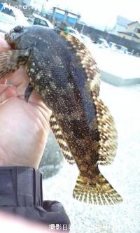 �������ǣ���