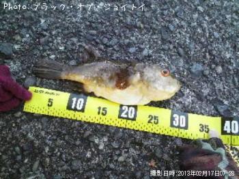 ������ե�